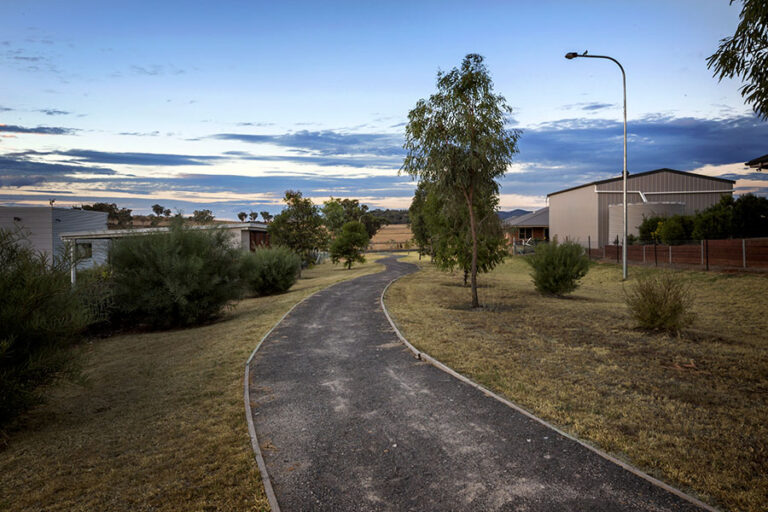 WindmillDowns_09web